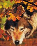 (image for) Forest Sentry